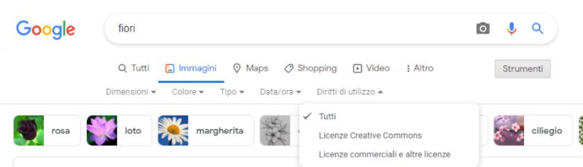 Google Immagini Ricerca Avanzata