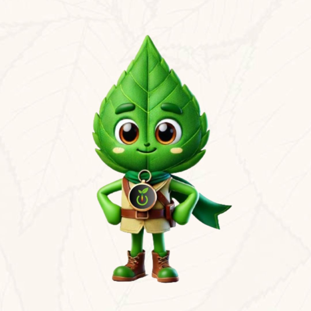 Eco Green Plus Sito Vetrina Copertina